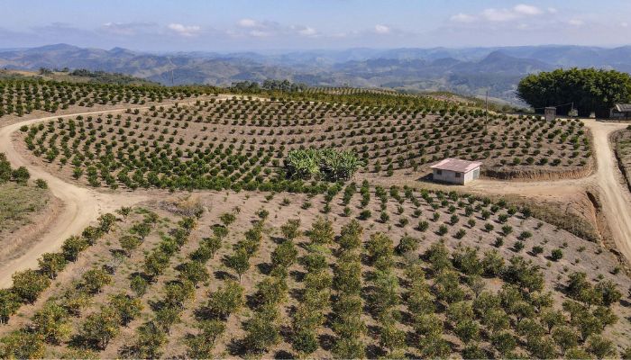  Paraná em Números: painel do Ipardes apresenta dados econômicos e do agronegócio
